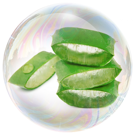 ​​​​​​Suc din frunze de aloe