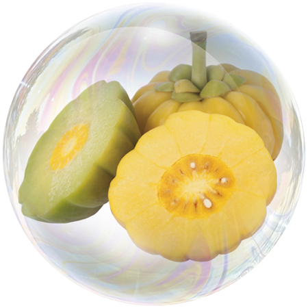 Fructe de garcinia